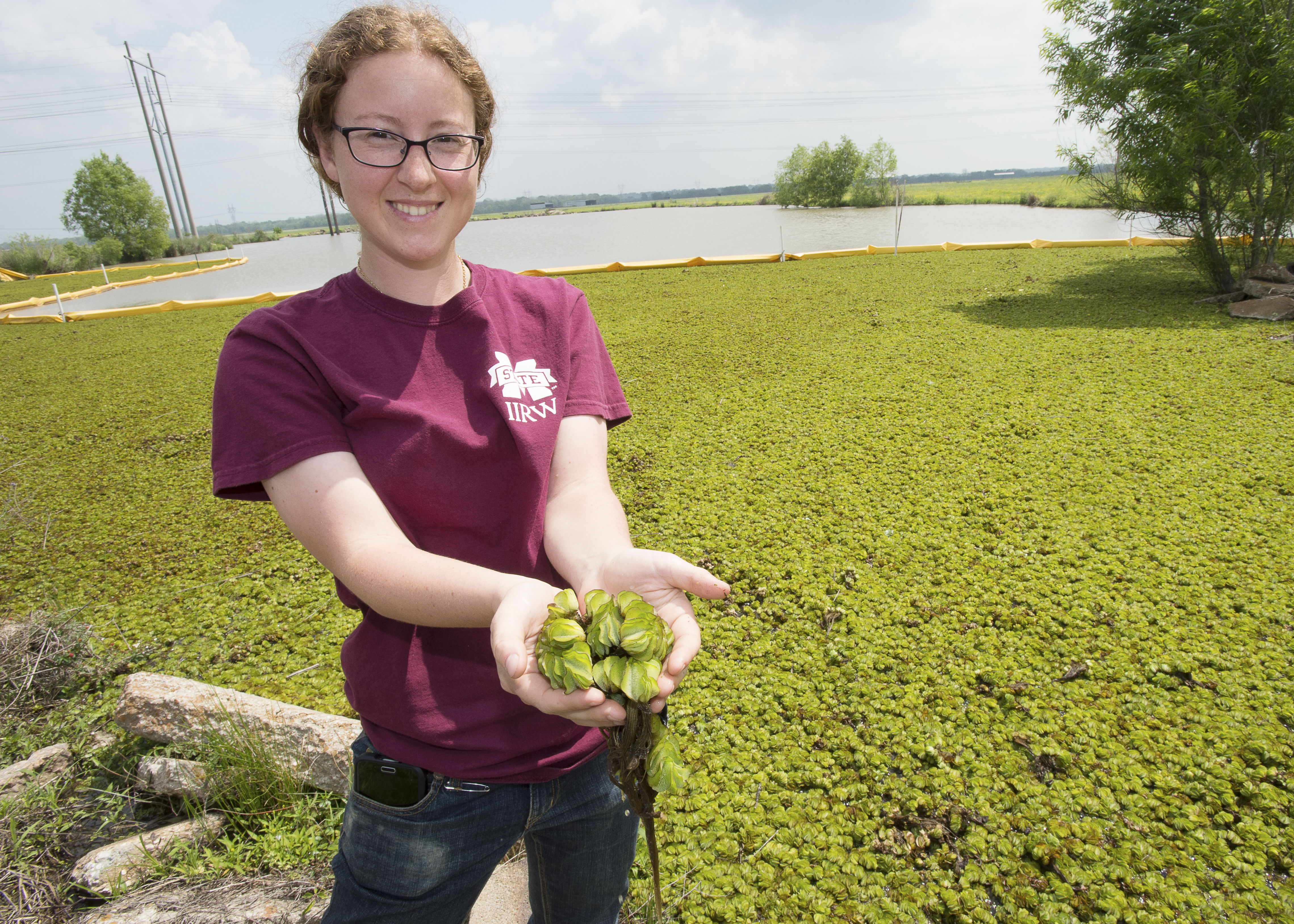 LSU AgCenter launches new website about giant salvinia 